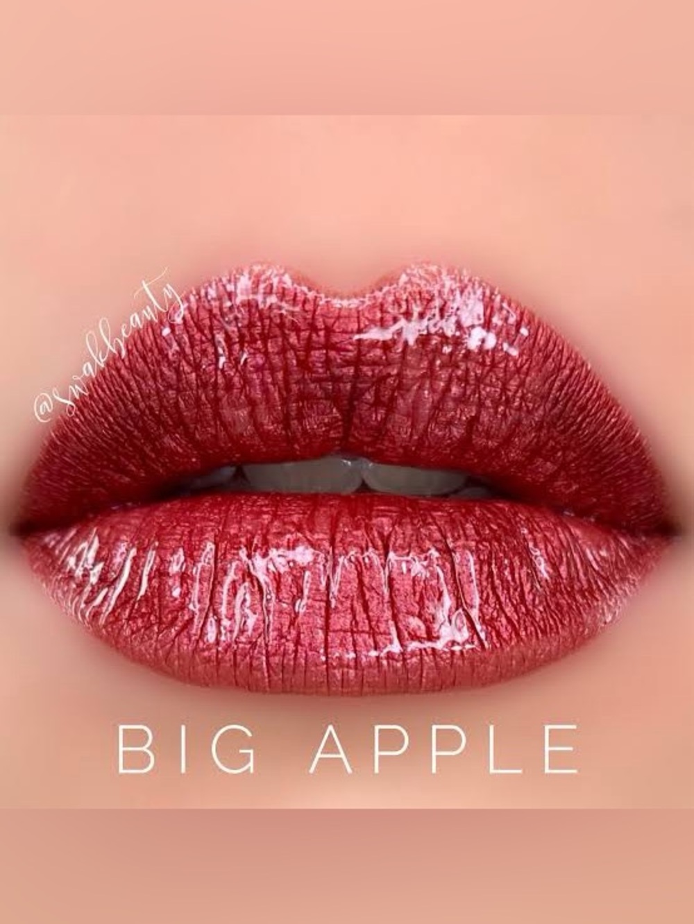 Lipsense by Senegence. Shade: Big Apple.NWT.